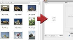Add a photo album of pictures for the photo collage