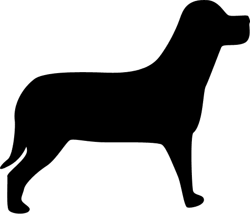 dog shape
