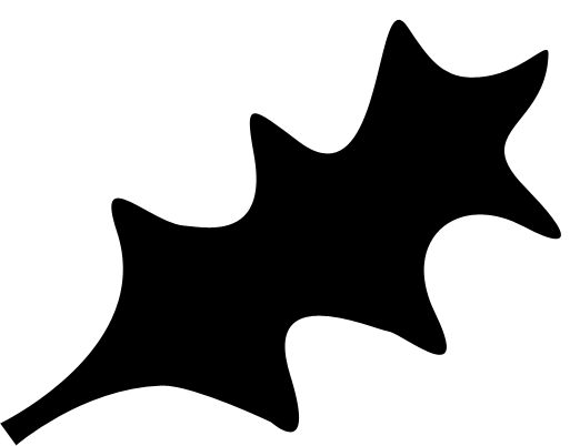 hollyshape