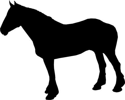 horse shape