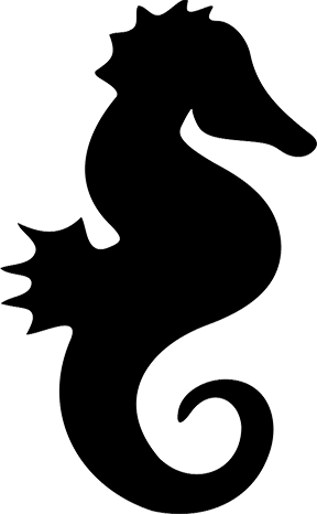 seahorseshape