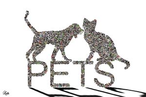 Pets