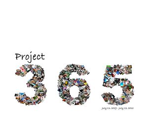 Project 365: a photo a day