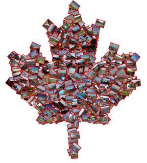 A national symbol
