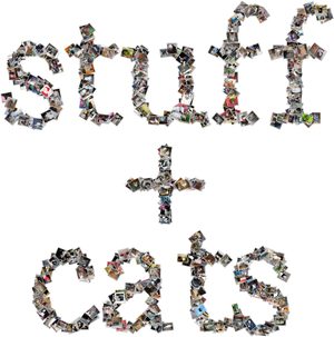 Stuff on my cat collage